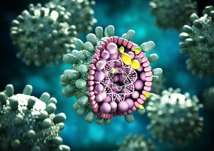 virus viêm gan siêu vi B